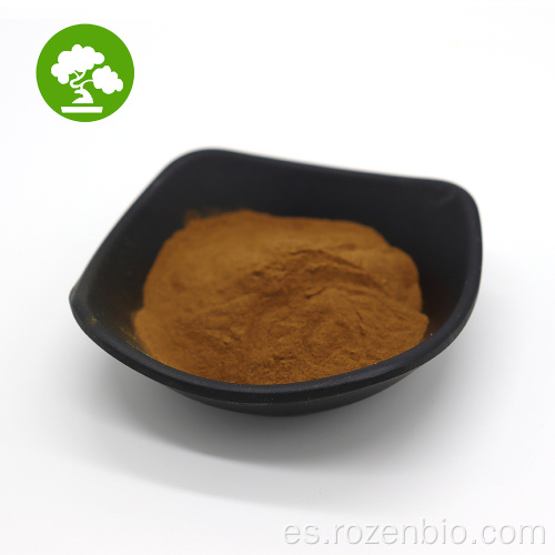 NATURAL 20: 1 Polvo de hongo Reishi